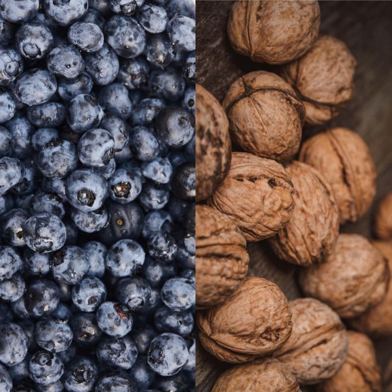 Recipe for Blueberry and Walnut Muffins